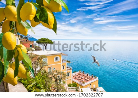 Beautiful Positano on hills leading down to coast, comfortable hotels and azure sea on Amalfi Coast in Campania, Italy. Amalfi coast is popular travel in Europe. Ripe yellow lemons in foreground.