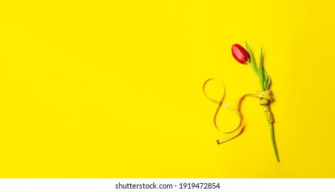 Beautiful postcard with one red tulip and number eight on a yellow background. International woman day March 8. Mother Day May 8. Gift certificate. Mockup. Greeting card. Fitness and slimming concept.