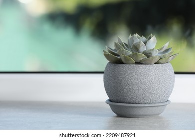 Beautiful Potted Houseplant On Light Grey Stone Window Sill. Space For Text