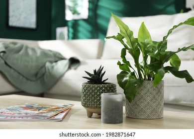 Beautiful potted plants, candle and magazines on wooden table indoors, space for text