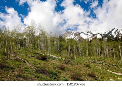 Beautiful Powder Mountain To Utah