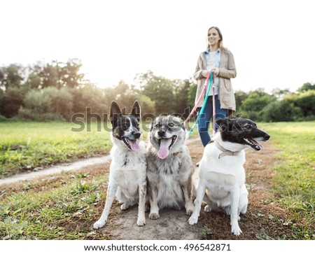 Similar – Image, Stock Photo Attractive womanon a rural path with dogs at sunset