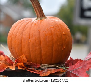 A Beautiful Pumpkin Decoration In An Amana Colony In Iowa