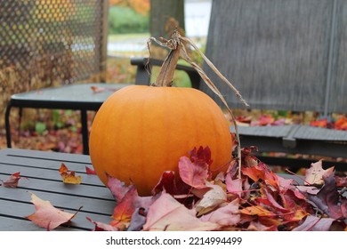 Beautiful Pumpkin On A Table Outside In The Fall