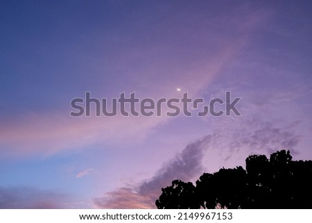 Beautiful puple, blue sky with tiny moon