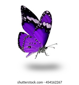 Beautiful Purple Butterfly Flying Stock Photo (Edit Now) 427860190