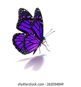 Similar Images, Stock Photos & Vectors Of Beautiful Purple Monarch 