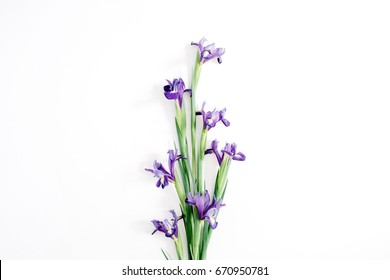 Beautiful purple iris flowers bouquet on white background. Flat lay, top view – Ảnh có sẵn