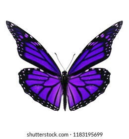 Beautiful Purple Monarch Butterfly Isolated On Stock Photo (Edit Now ...