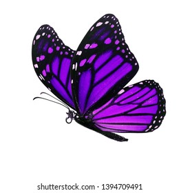 Beautiful Purple Monarch Butterfly Isolated On Stock Photo 1394709491 ...