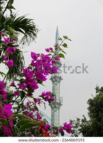 beautiful purple paper flowers, green leaves that are pointed at the ends. background of tall mosque towers. 