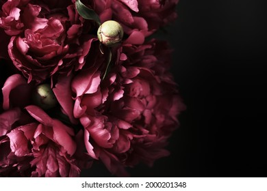 Beautiful purple peonies bouquet on black background, soft focus. Dark Spring or summer floral background. Festive flowers concept - Powered by Shutterstock