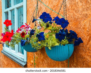 Beautiful Purple Pink Potted Flowers Hanging Stock Photo 2018346581 ...