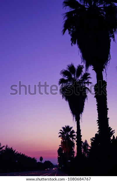 beautiful purple sunset over California with\
some palm trees\
silhouettes.