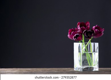 Beautiful purple tulips in glass vase on black background