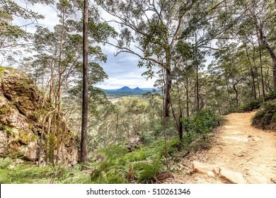 A Beautiful Queensland Bush Walk With A View 