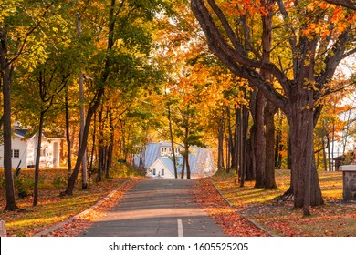 Beautiful quiet rural paved road surrounded by colorful trees in the fall. Shot on the Ile d'Orléans in Quebec, Canada. 