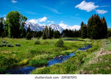 Beautiful quiet stream the Grand Teton National Park
