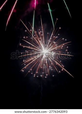 Beautiful radial firework explosion during a festival celebration.