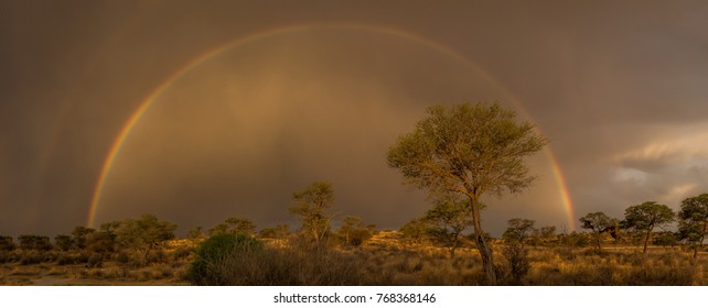 Beautiful Rainbow After The Rain In The Kalahari Dessert