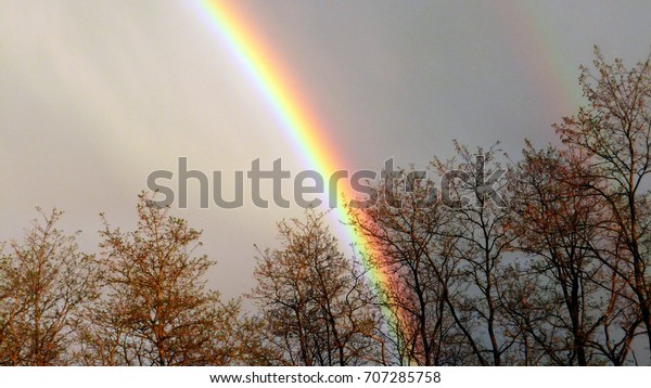 A beautiful rainbow\
over an autumn forest divides the sky in two halves, a bright and a\
dark side 