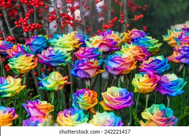 34,066 Rainbow roses Images, Stock Photos & Vectors | Shutterstock