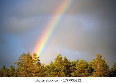 9,648 The rainbow after the rain Images, Stock Photos & Vectors ...