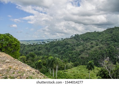 Beautiful rainforest landscape of the Dominican Republic.  - Shutterstock ID 1544014277