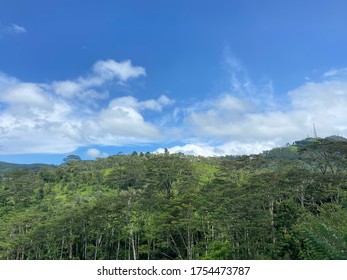 Beautiful Rainforest In Sri Lanka. It Is Situated In Kandy District Called Galaha