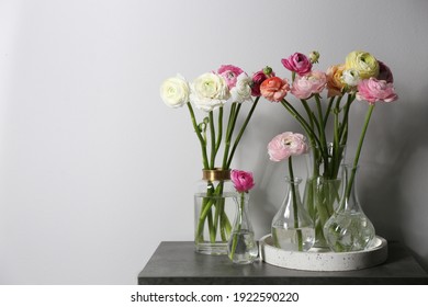 Beautiful Ranunculus Flowers In Vases On Stone Table Near Wall, Space For Text