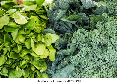 Beautiful Raw Organic Vegetables at Farmer Market