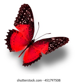 31,152 Red butterfly flying Images, Stock Photos & Vectors | Shutterstock