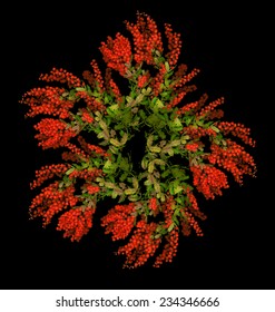 Beautiful Red Christmas Wreath Created With Australian Red Wattle