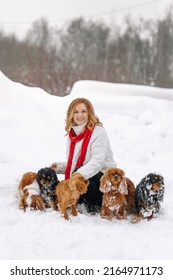 A Beautiful Red Haired Middle Aged Woman In White Sweater And Red Scarf Walking In The Park With 5 Dogs Puppies In Winter. Pet Care And Love