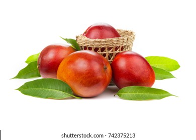 Beautiful Red mango fruits and basket with leaves isolated white background