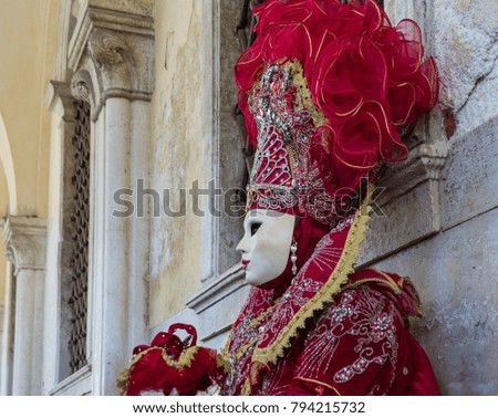 Beautiful red mask and costume at the Venice carnival