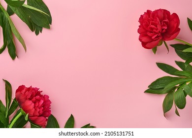 15,749 Maroon rose Images, Stock Photos & Vectors | Shutterstock