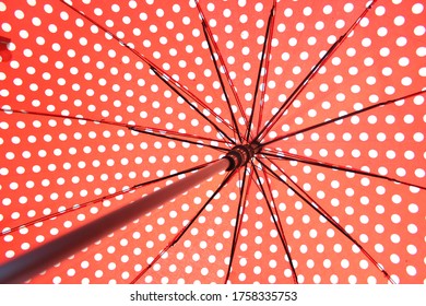 Beautiful Red Polka Dot Umbrella 