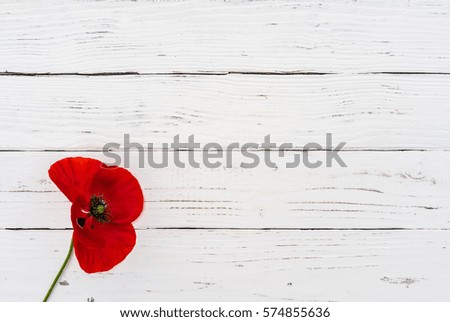 Similar – Image, Stock Photo Poppy blossom in a cereal field