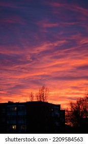 Beautiful Red And Purple Sunset Over The Buildings In The City With Buildings And Trees Silhouette, Vertical