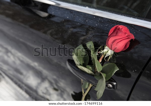 beautiful red rose and black car, surprise for a\
loved one