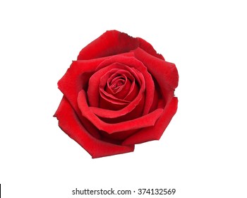 Red Rose Isolated On White Background Stock Photo (Edit Now) 235388551