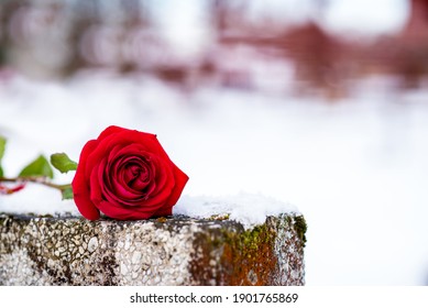 15,182 Gravestone flower Images, Stock Photos & Vectors | Shutterstock