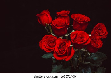 Beautiful Red Roses On A Black Background