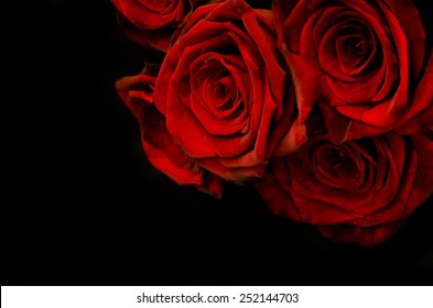 Beautiful Red Roses On Black Background