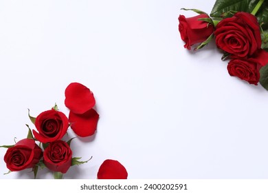 Hermosas rosas rojas y