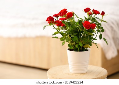 Beautiful Red Roses In Pot On Table