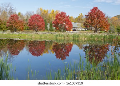 Beautiful Red Trees, Litchfield Hills, Connecticut, USA