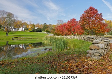 Beautiful Red Trees, Litchfield Hills, Connecticut, USA