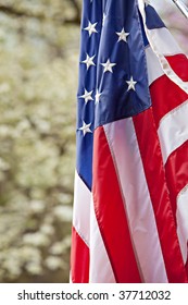 Beautiful red, white and blue United States Flag with soft  focus blooming Dogwood tree in background